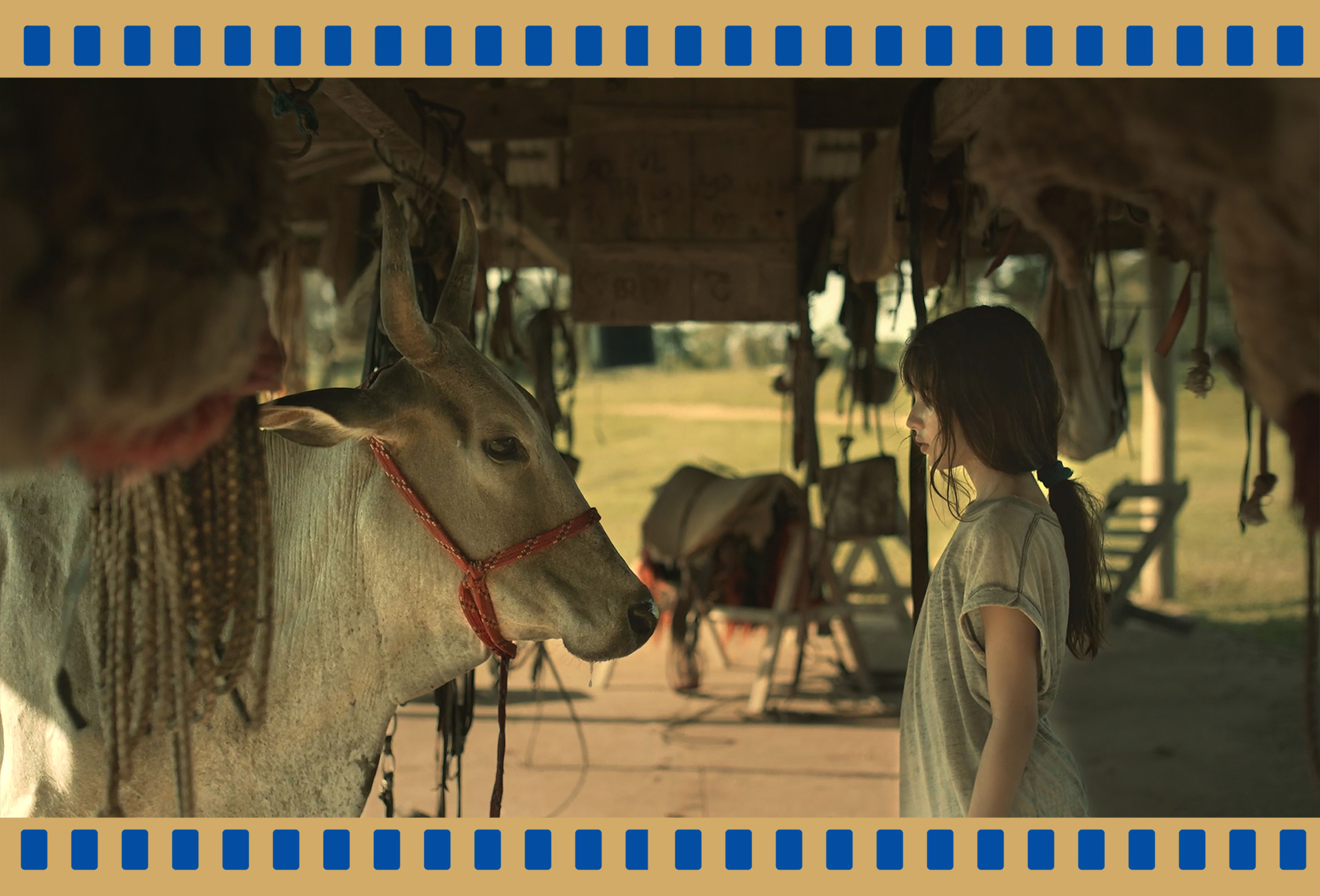 Minha mãe é uma vaca